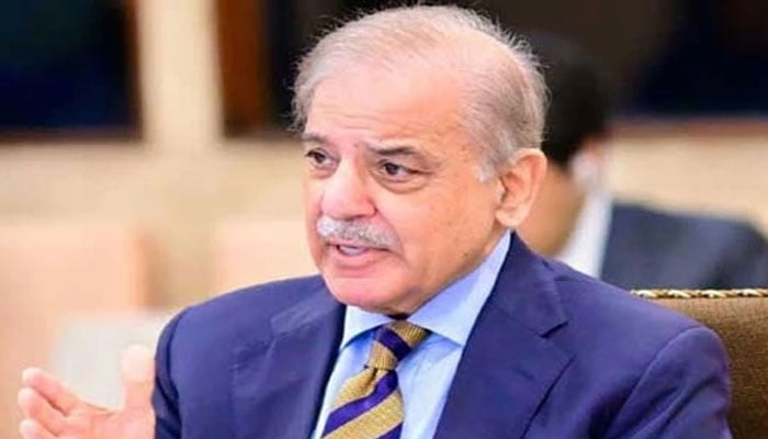 غیرفعال پاسکو گوداموں اور سائلوز کو پبلک پرائیویٹ پارٹنرشپ کے تحت چلایا جائے، شہباز شریف