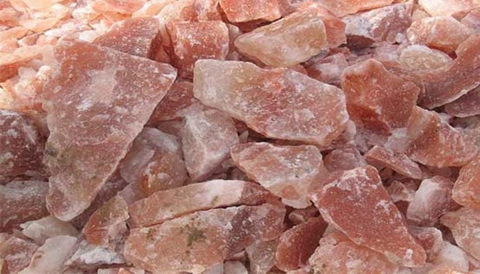 بھارت کا پاکستانی پہاڑی نمک کی 99 کروڑ کی اسمگلنگ پکڑنے کا دعویٰ، 4 ملزمان گرفتار
