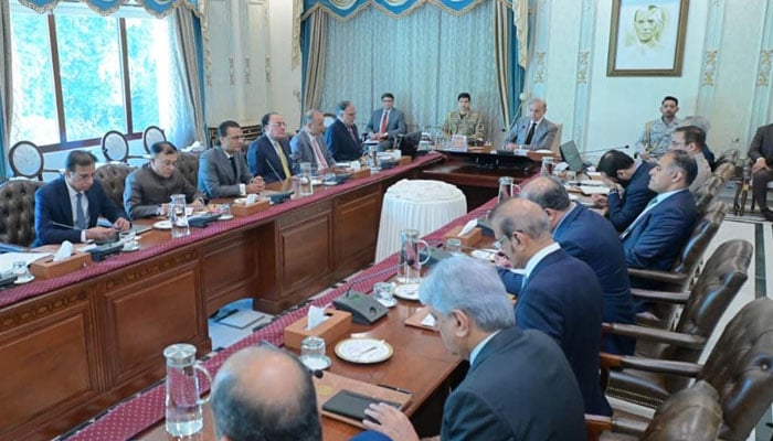 FBR، بدعنوانوں کیلئے کوئی جگہ نہیں، رویئے اور کارکردگی میں بہتری لانے والے افسران اور عملے کو اصلاح کا موقع دیا جائے، وزیراعظم