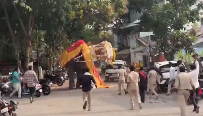 بھارت، مذہبی تہوار پر 650 کلو سونے کا کجاوا اٹھائے ہاتھی بے قابو