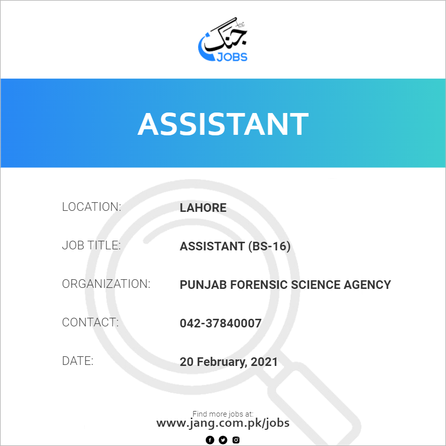 Assistant (BS-16)
