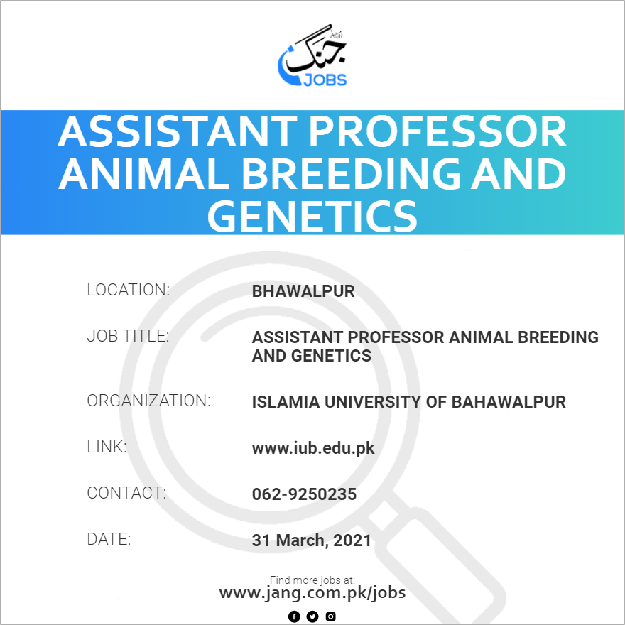 Assistant Professor Animal Breeding And Genetics Job – Islamia University  Of Bahawalpur - Jobs in Bhawalpur – 5650
