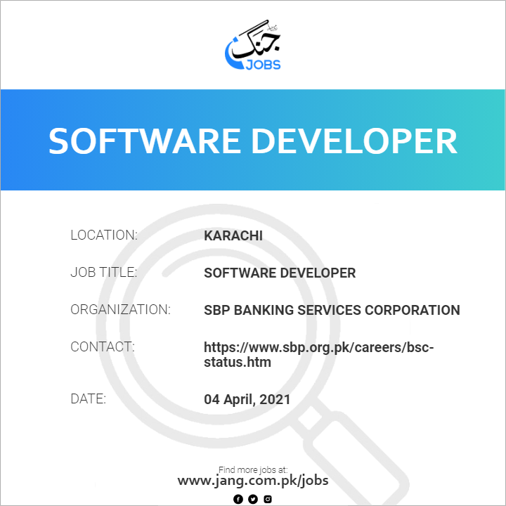 Software Developer 