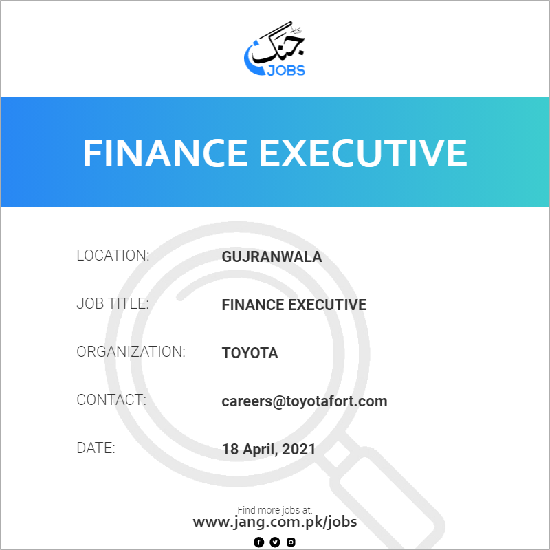 Finance Executive