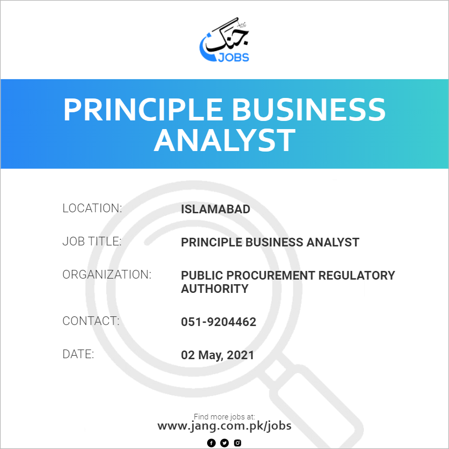 Principle Business Analyst