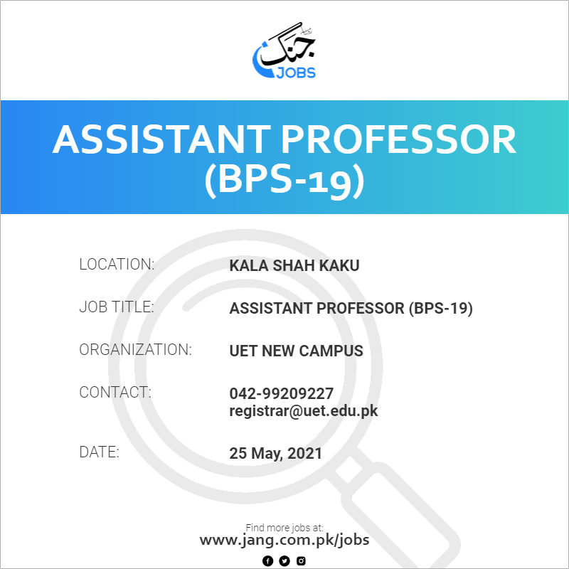 Assistant Professor (BPS-19)