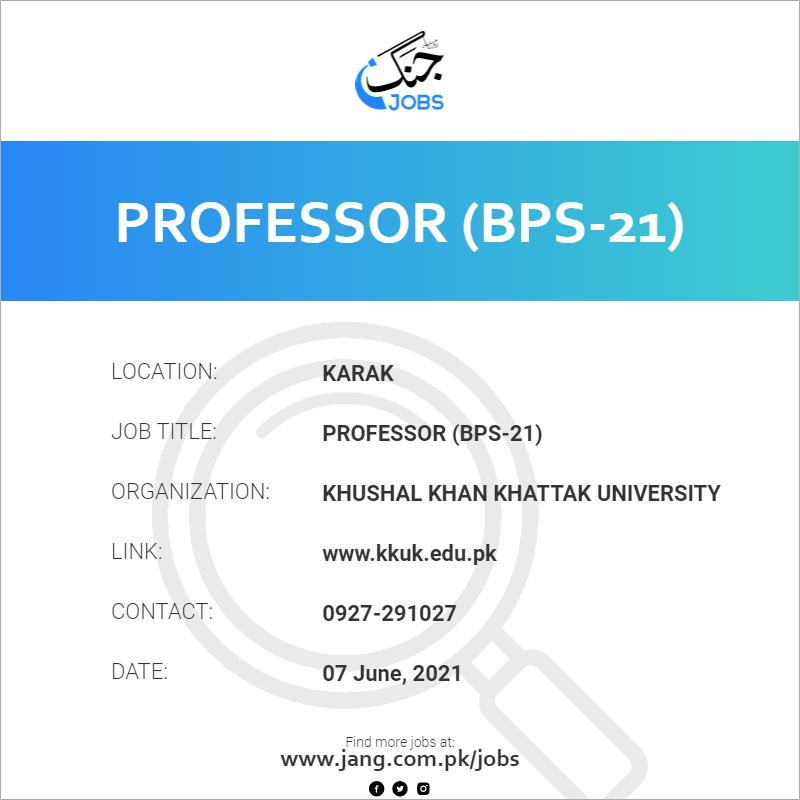 Professor (BPS-21)