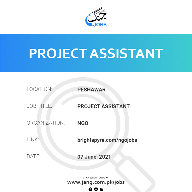 Project Assistant