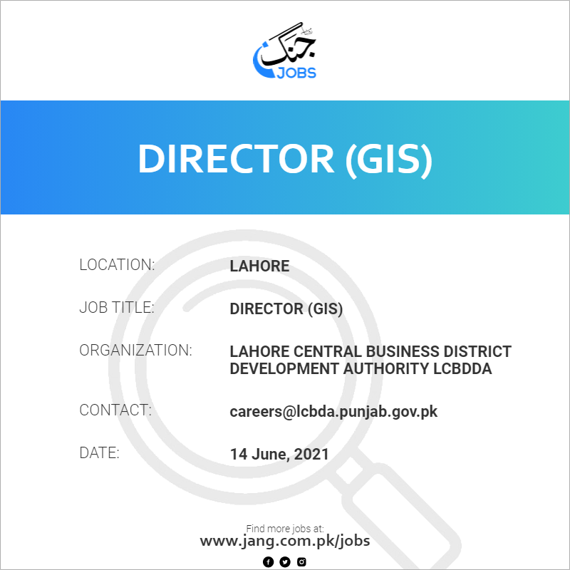  Director (GIS)
