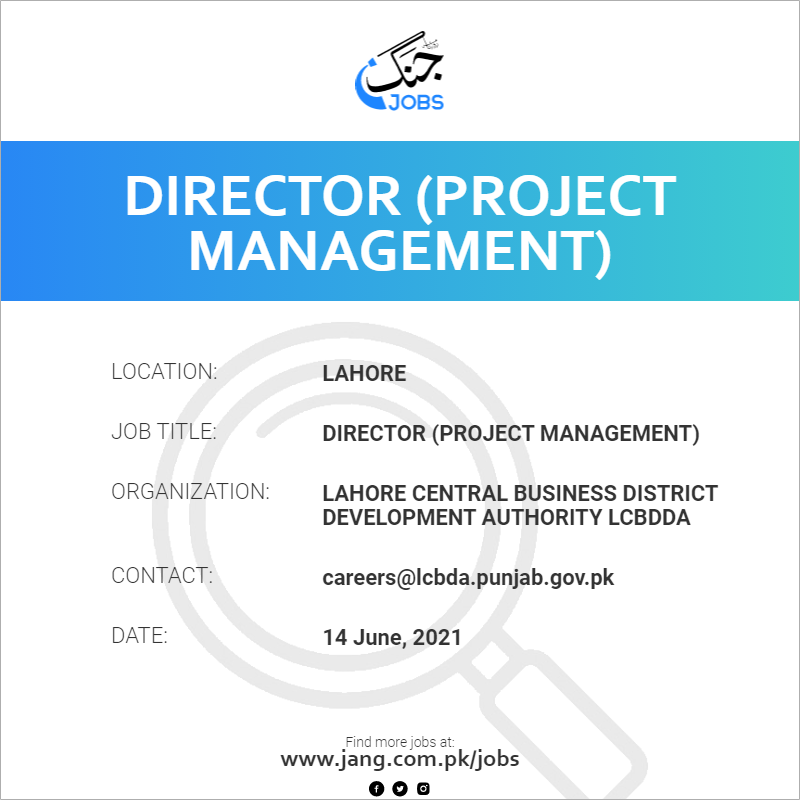 Director (Project Management)