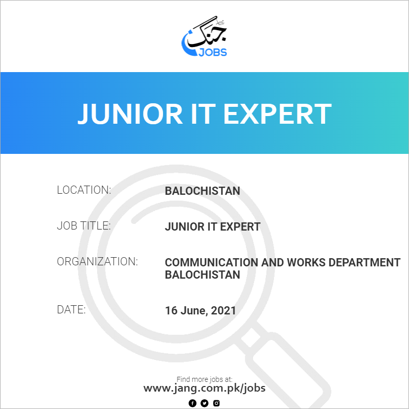 Junior IT Expert