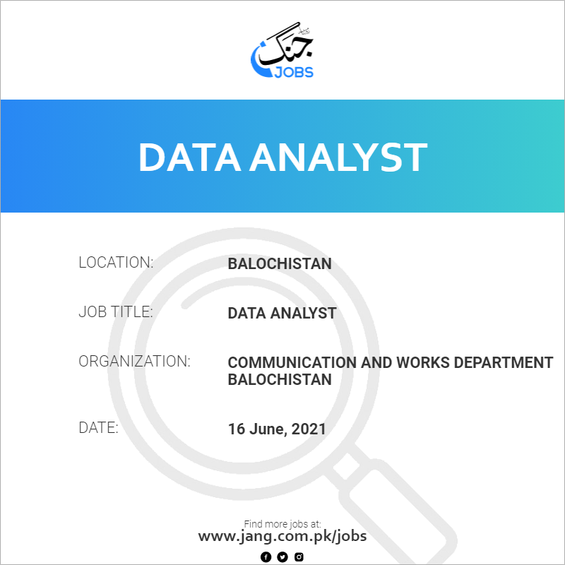 Data Analyst 
