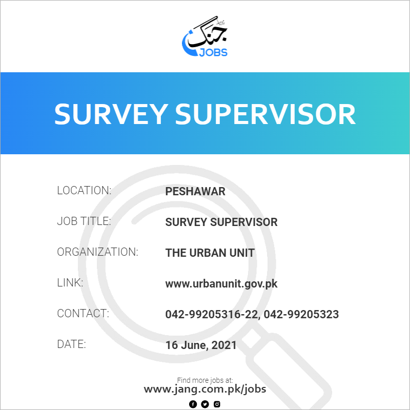 Survey Supervisor