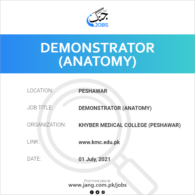 Demonstrator (Anatomy)