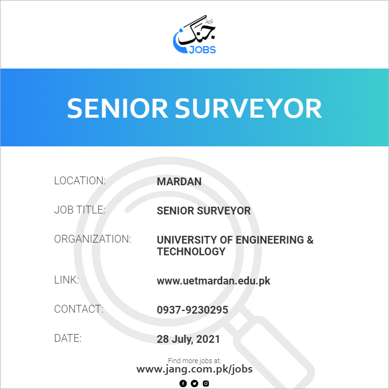 Senior Surveyor 