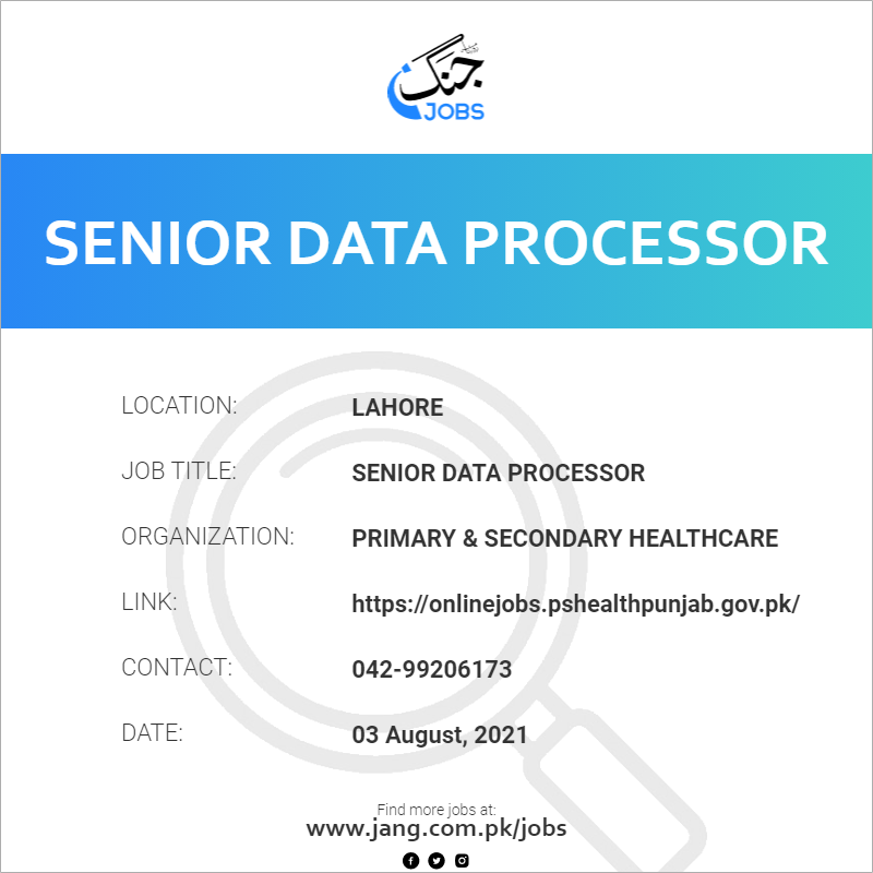 Senior Data Processor 