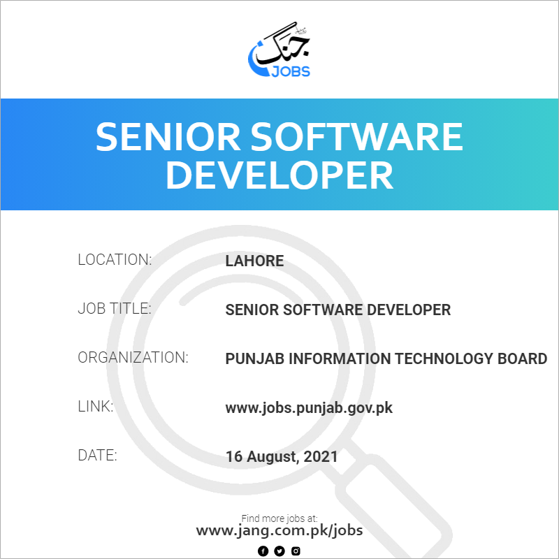 Senior Software Developer 