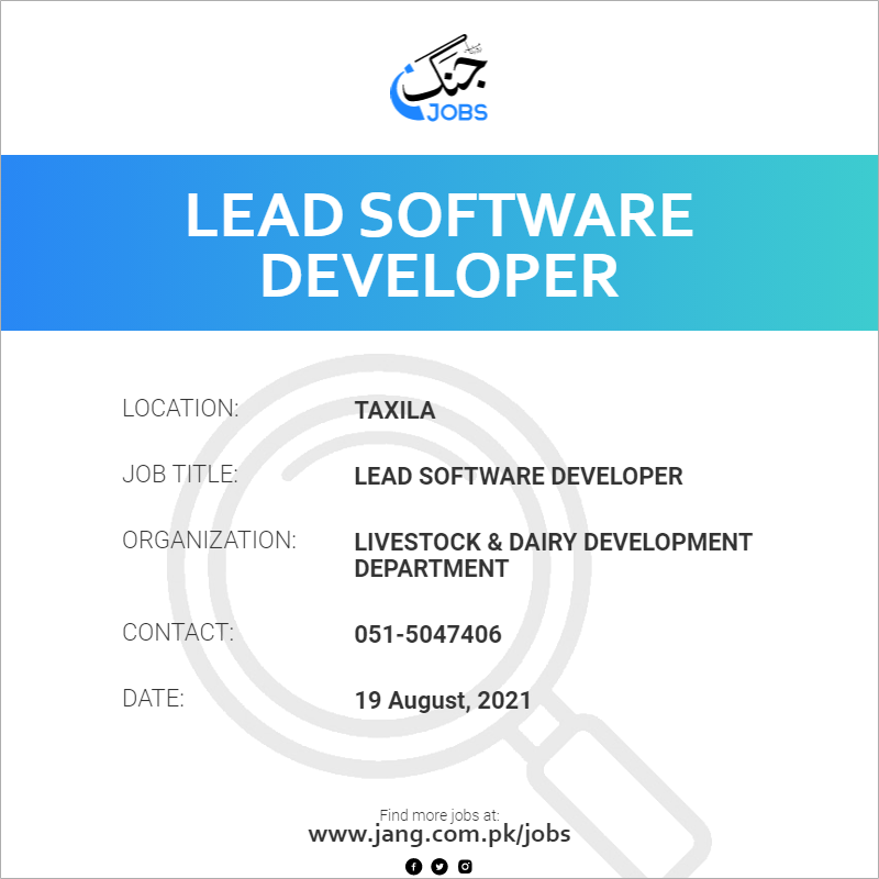 Lead Software Developer 