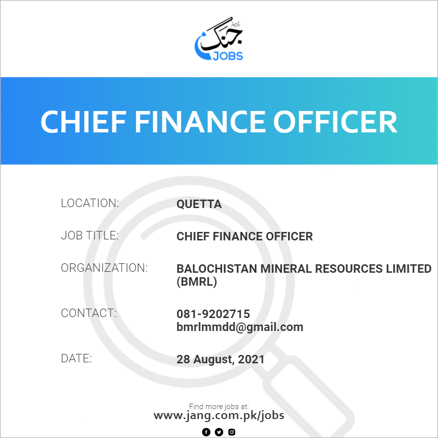 Chief Finance Officer