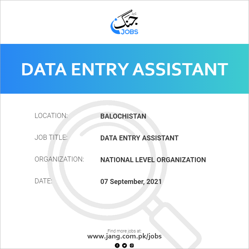 Data Entry Assistant 