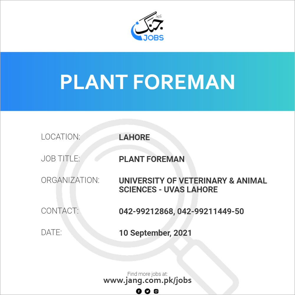 Plant Foreman