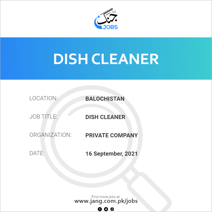 Dish Cleaner