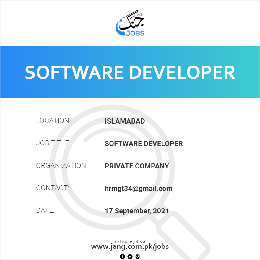 Software Developer