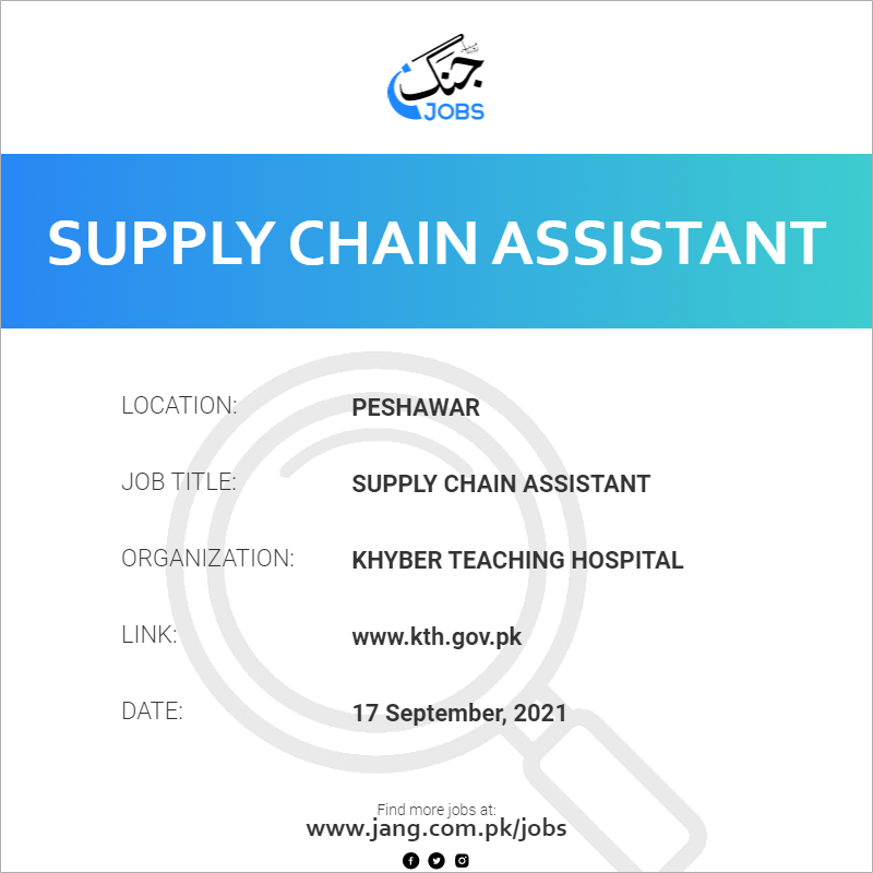 Supply Chain Assistant 