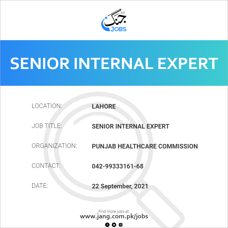 Senior Internal Expert