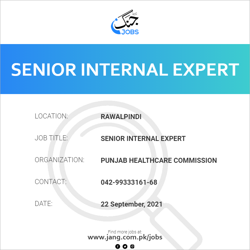 Senior Internal Expert