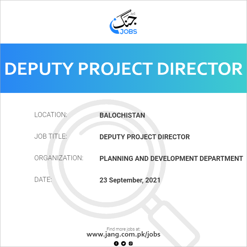 Deputy Project Director 