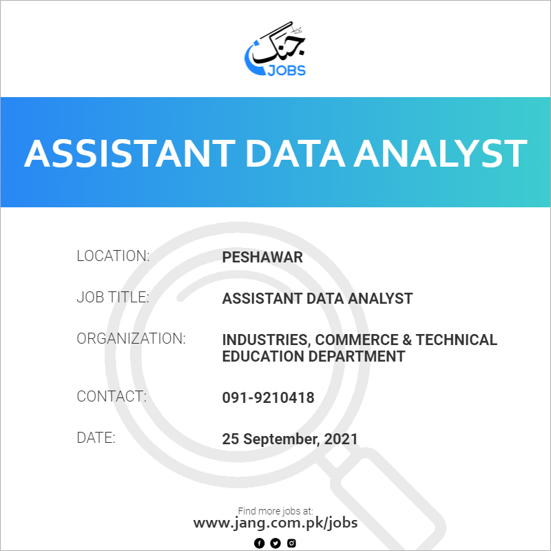 Assistant Data Analyst