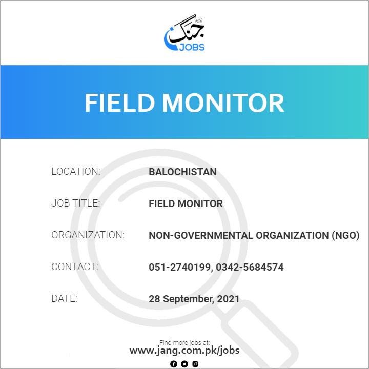 Field Monitor