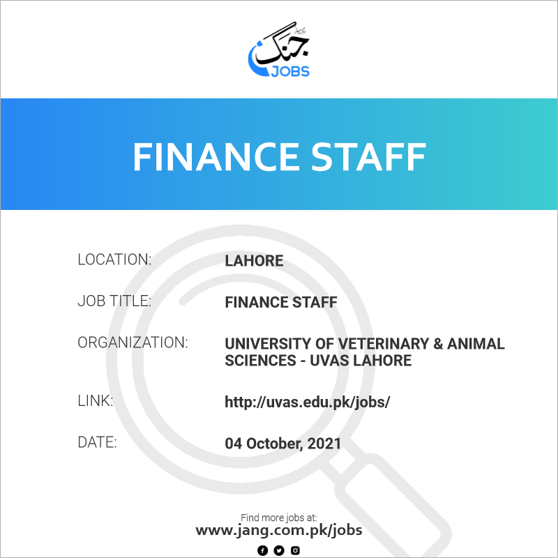 Finance Staff