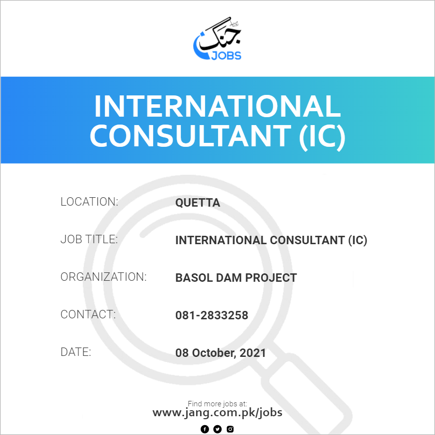 International Consultant (IC)