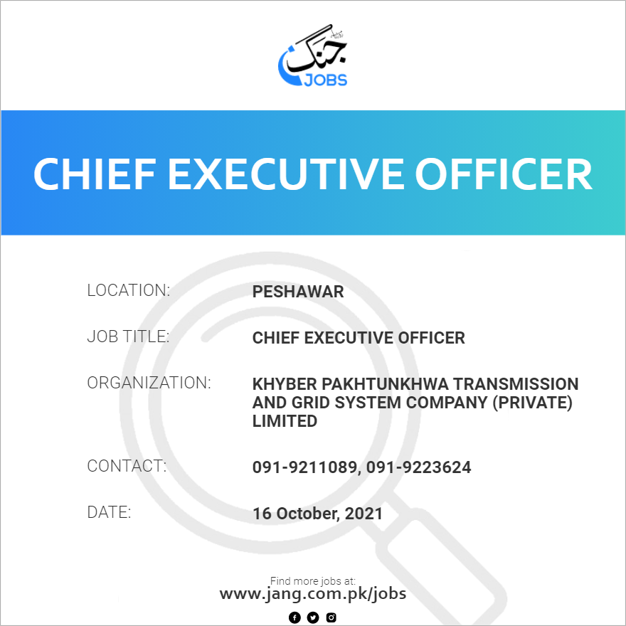 Chief Executive Officer 