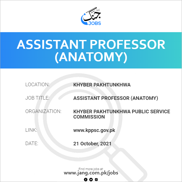 Assistant Professor (Anatomy) 