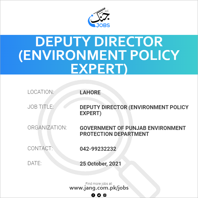 Deputy Director (Environment Policy Expert) 