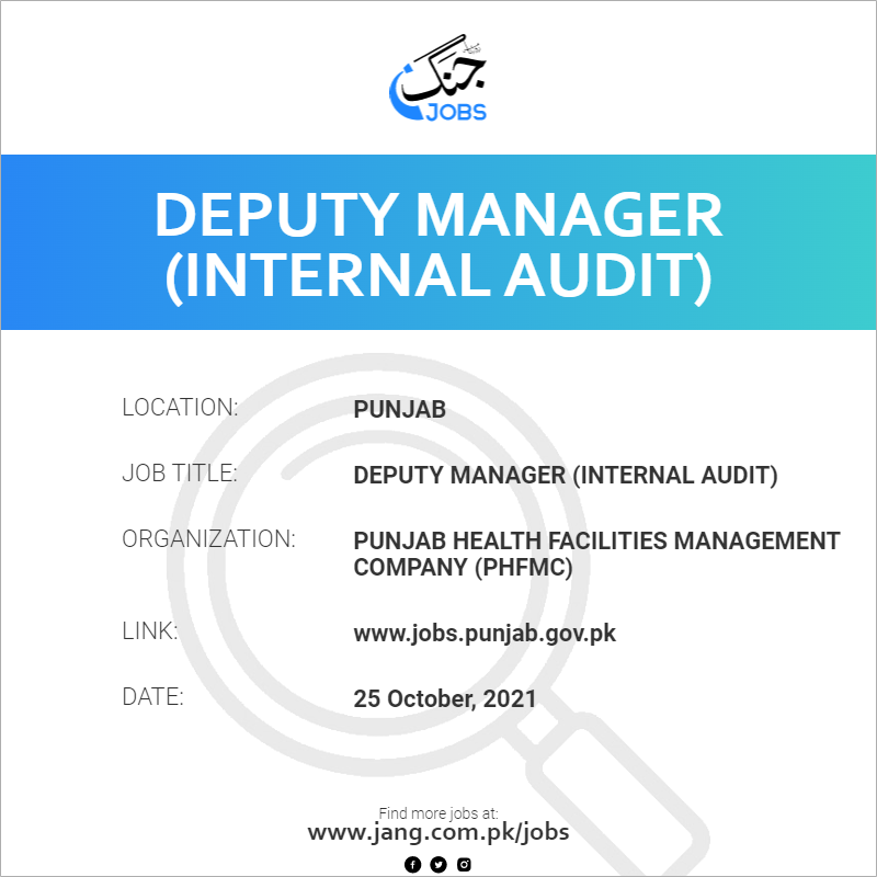 Deputy Manager (Internal Audit) 