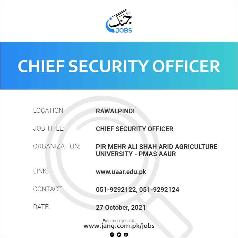 Chief Security Officer