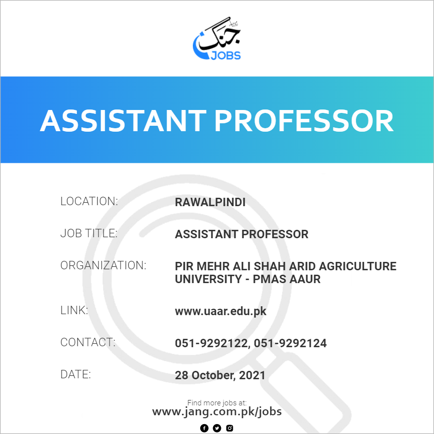 Assistant Professor 