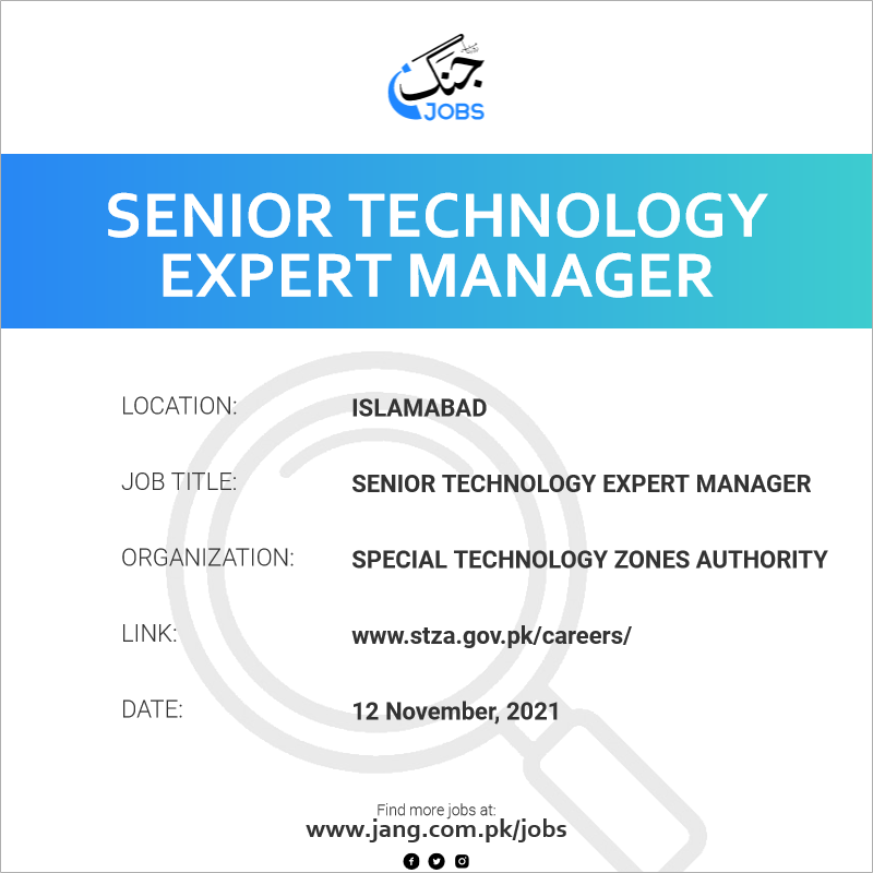 Senior Technology Expert Manager