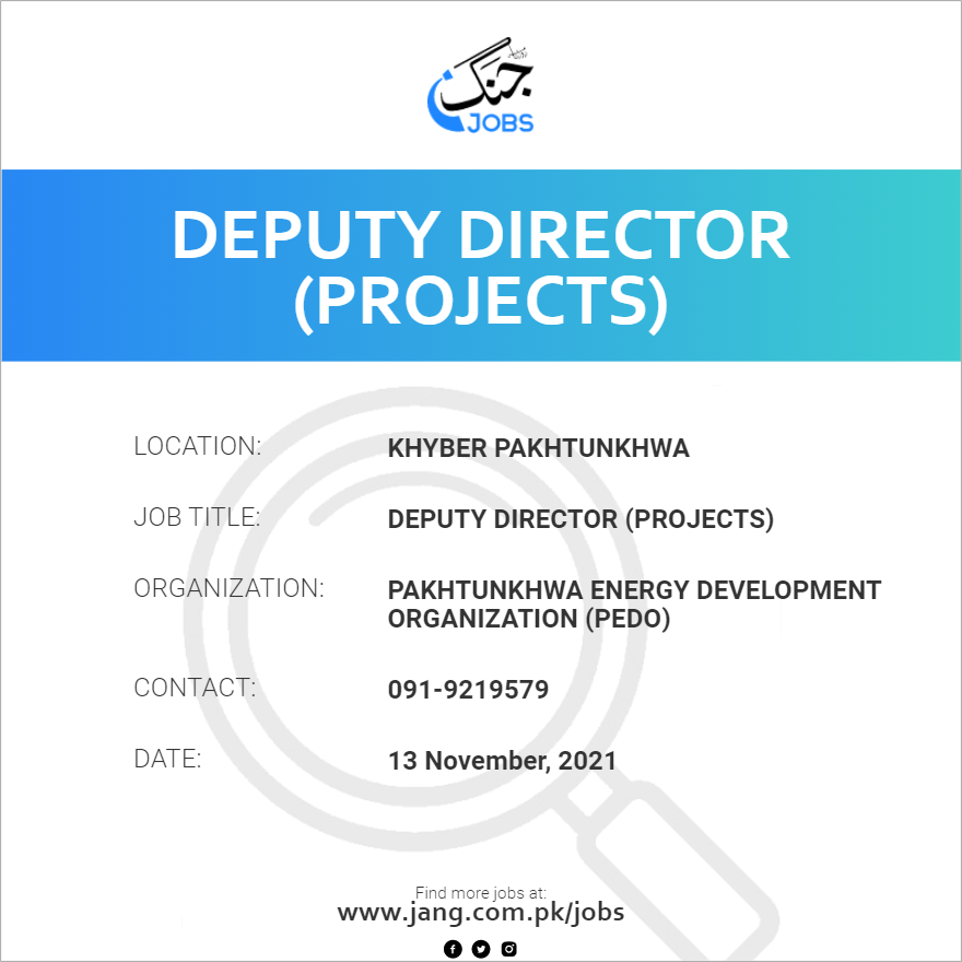 Deputy Director (Projects)