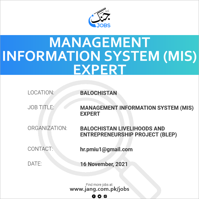 Management Information System (MIS) Expert