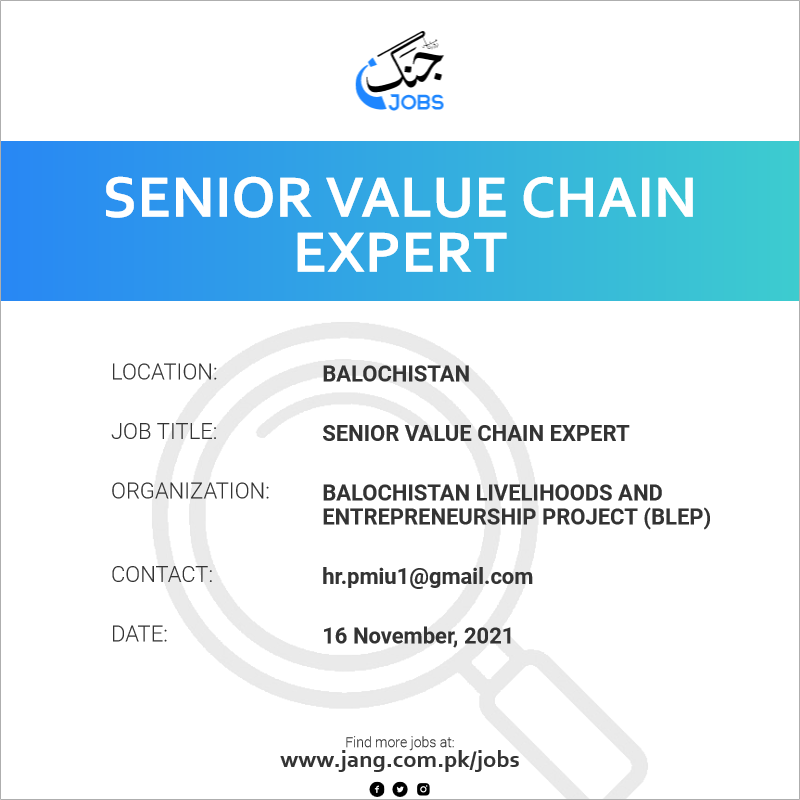 Senior Value Chain Expert