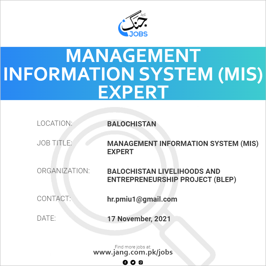 Management Information System (MIS) Expert