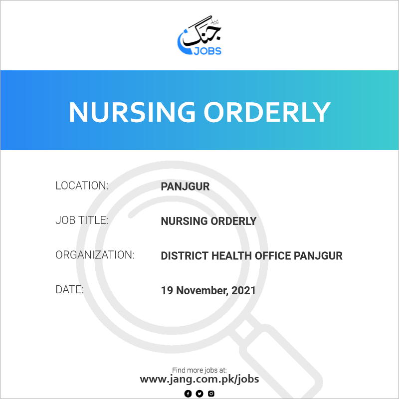 Nursing Orderly