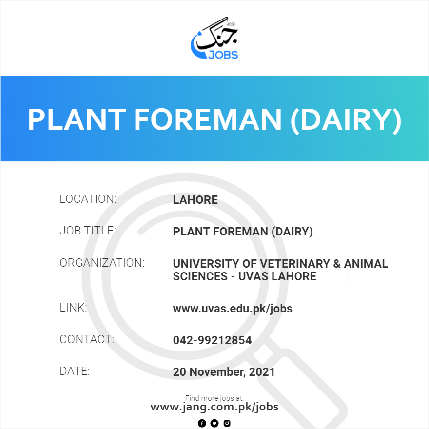Plant Foreman (Dairy)