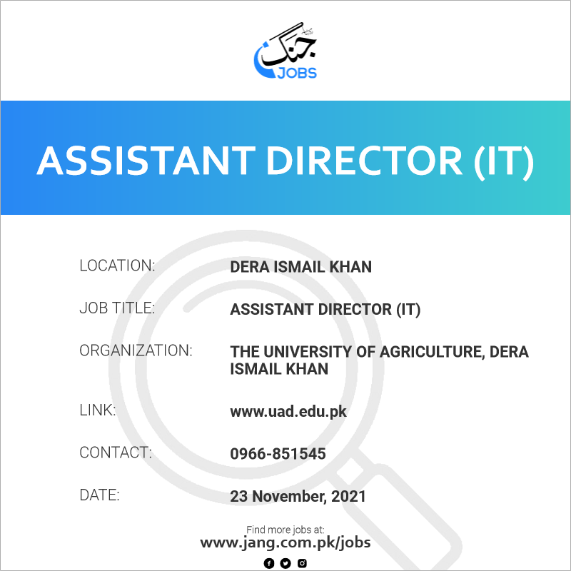 Assistant Director (IT)