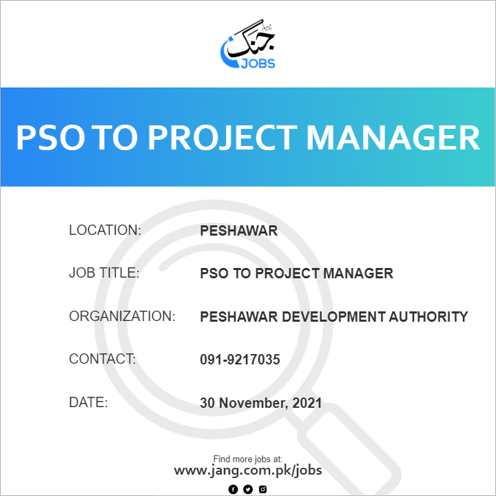 PSO to Project Manager